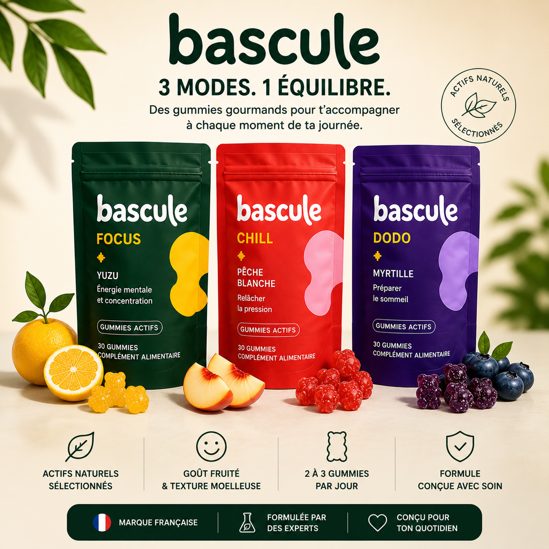 Pack complet BASCULE Focus Chill Dodo